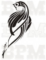 /album/vtaky/vtaky-16-jpg/